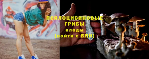 спиды Михайловск