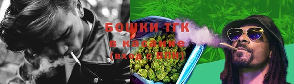 гашик Белокуриха