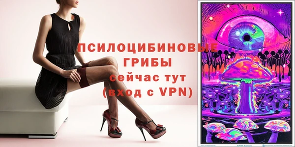 спиды Михайловск