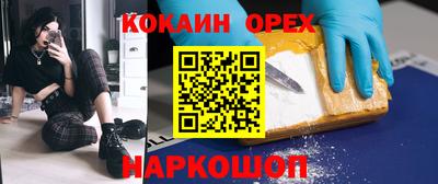 спиды Кингисепп