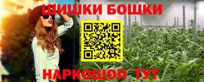 спиды Кингисепп
