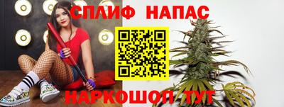 спиды Кингисепп
