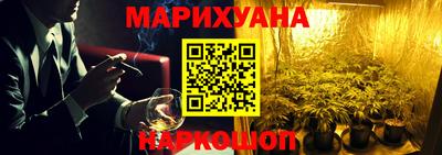 спиды Кингисепп