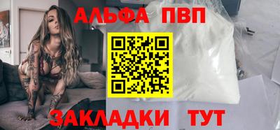 спиды Кингисепп