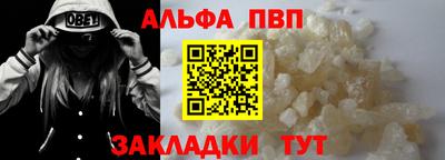 спиды Кингисепп