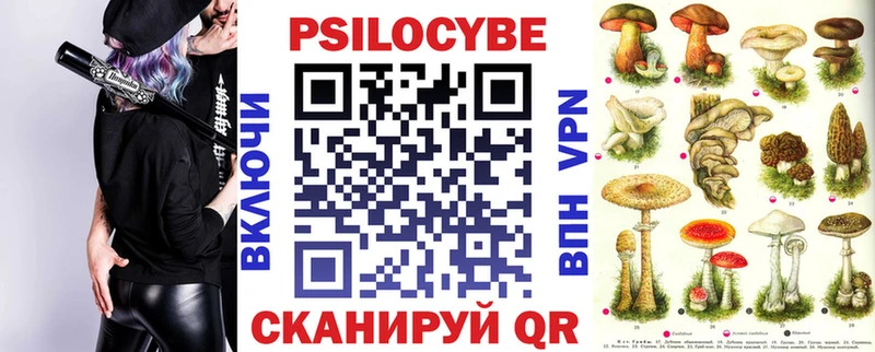 купить закладку  Можайск  darknet клад  Псилоцибиновые грибы мицелий 