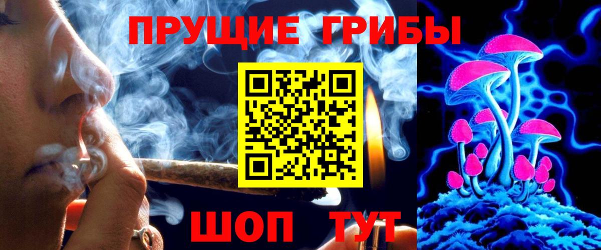 Псилоцибиновые грибы Psilocybe  Вход с VPN  Можайск 