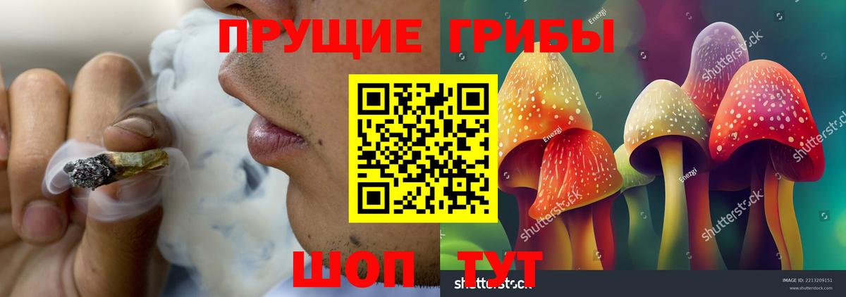 Псилоцибиновые грибы прущие грибы Можайск